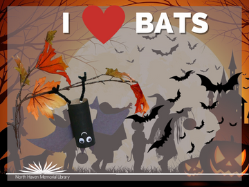 I love Bats 