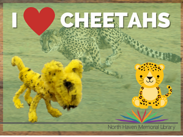 I love cheetahs logo 
