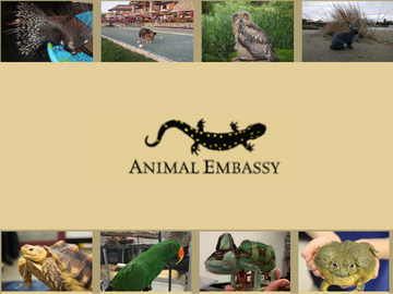 Animal Embassy Logo 