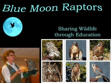 Blue Moon Raptors Logo 