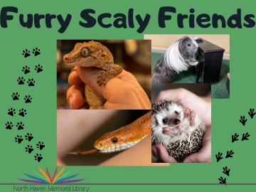 Furry Scaly Friends Logo 