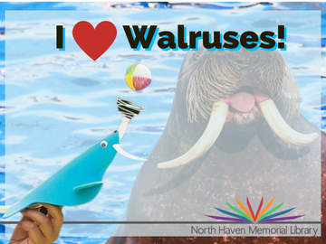 I heart walruses logo