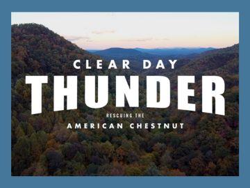 Clear Day Thunder, Rescuging the American Chestnut Film Poster