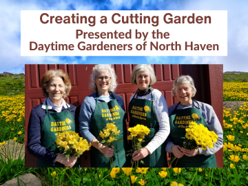 Members of the Daytime Gardeners of North Haven