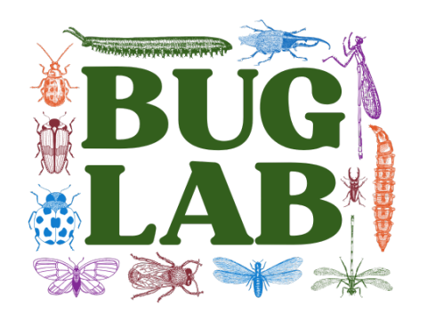 program name in green letters surrounded by line-drawn graphics of colored bugs