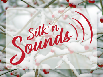 Silk'n Sounds logo over a winter berry bush scene