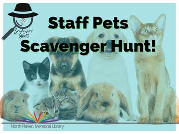 Scavenger Hunt Logo 