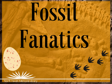 Fossil Fanatics Logo 