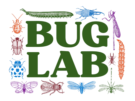 program name in green letters surrounded by line-drawn graphics of colored bugs