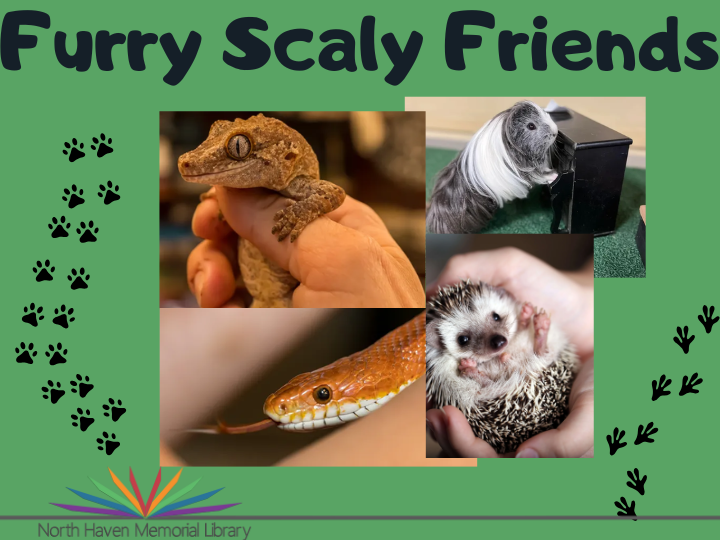 Furry Scaly Friends Logo 